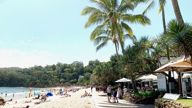A beach with palm trees, a boardwalk, and people relaxing. - The Nest - 5 minute walk to Hasting Street and Noosa Main Beach (Noosa)
