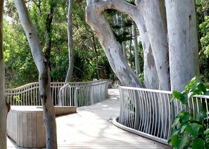 Property grounds - The Nest - 5 minute walk to Hasting Street and Noosa Main Beach (Noosa)