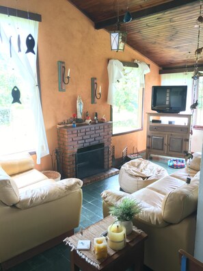 TV, fireplace