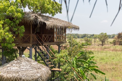   Family n Eco Friendly with comfortable rooms ,Villas ,Tree houses and Pool.