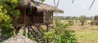   Family n Eco Friendly with comfortable rooms ,Villas ,Tree houses and Pool.