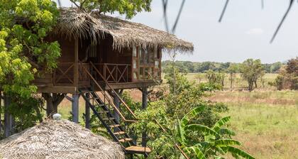 Family n Eco Friendly with comfortable rooms ,Villas ,Tree houses and Pool.