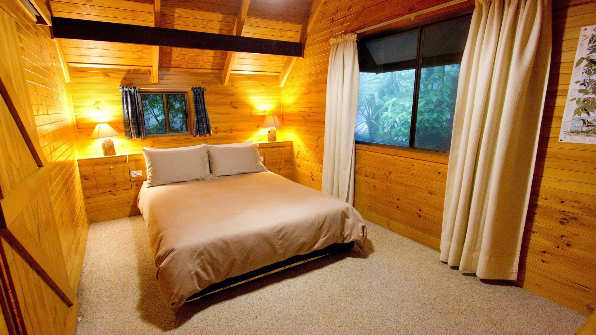 Bowerbird: Mt Glorious Getaways