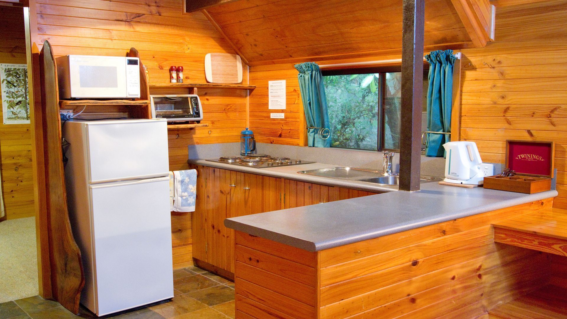 Bowerbird: Mt Glorious Getaways