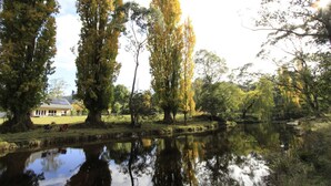 A serene lakeside setting with a house and tall trees reflecting on the water. - Timbarra Hideaway - the perfect retreat (Buchan)