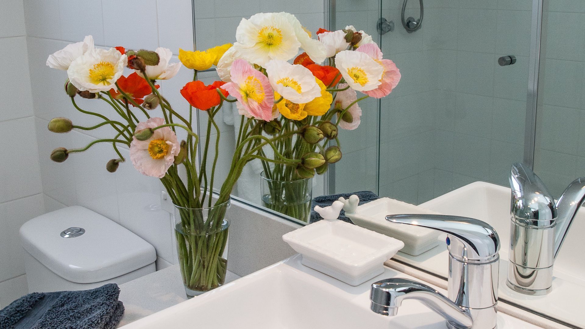 COOGEE BEACH BLISS - beachside getaway — image 8