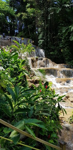Jamaica Escape 2 Bedroom  Modern Apt. near beaches attractions & restaurants