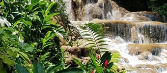 Jamaica Escape 2 Bedroom Modern Apt. near beaches attractions & restaurants