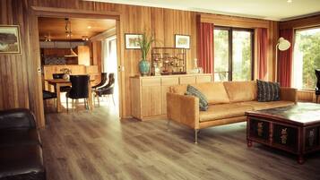 Smart TV, fireplace, Netflix, DVD player