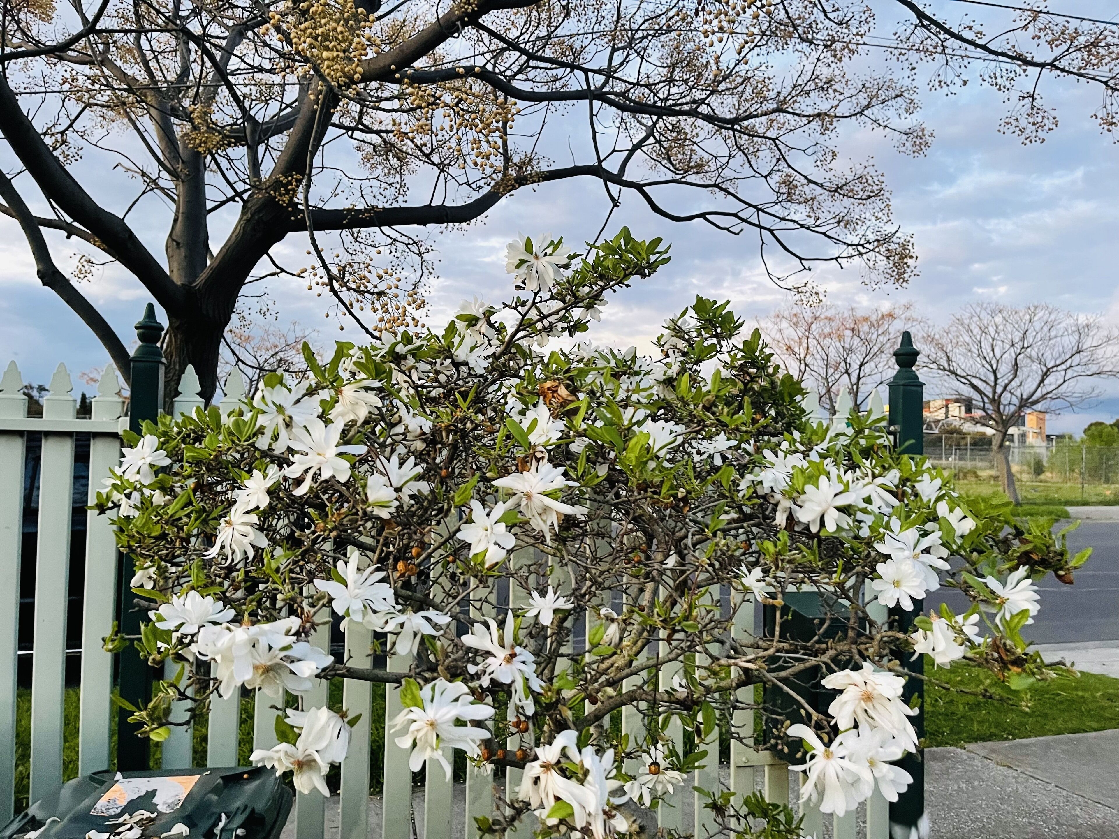 D108 Fantastic Sun Crescent Gathering — image 24