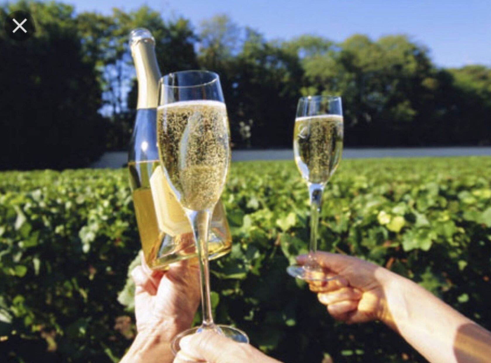 Gorgeously relaxing brand new built double story home to spoil you — image 13