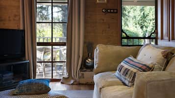 TV connectée, cheminée, lecteur de DVD