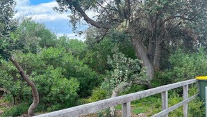 Unclassified image, 5 of 16, button - 🐶🐶 PET FRIENDLY :  COZY HOME WALK TO BEACH,WETLANDS. 6 GUESTS,WIFI,NETFLIX (Seaford)