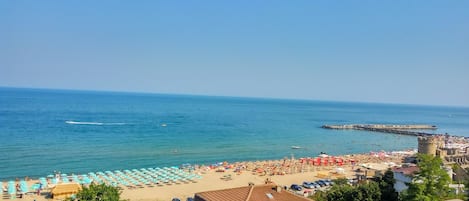 Lettini da mare
