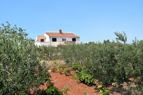 In den Apartments Nike 1 können Sie die Sonne auf einem ruhigen Grundstück genießen