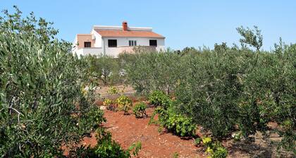 In den Apartments Nike 1 können Sie die Sonne auf einem ruhigen Grundstück genießen