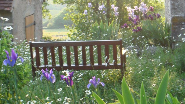 Eine Bank in einem Garten mit violetten Blumen und einer Steinmauer.