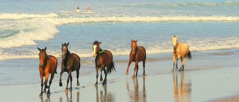 Na praia