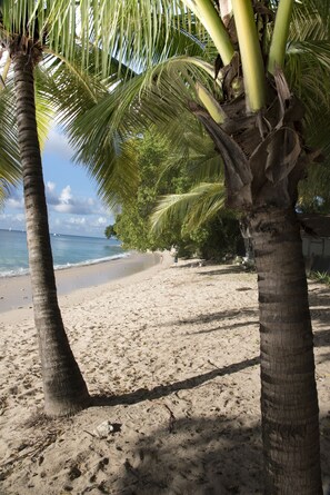 Sun-loungers, beach towels
