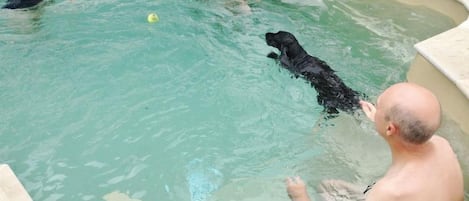 Piscine chauffée
