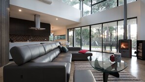 TV, fireplace, DVD player
