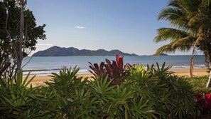 Une plage tropicale offrant une vue sur des montagnes au loin, le tout entouré d’une végétation luxuriante.