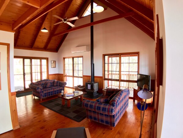 TV, fireplace, DVD player, books