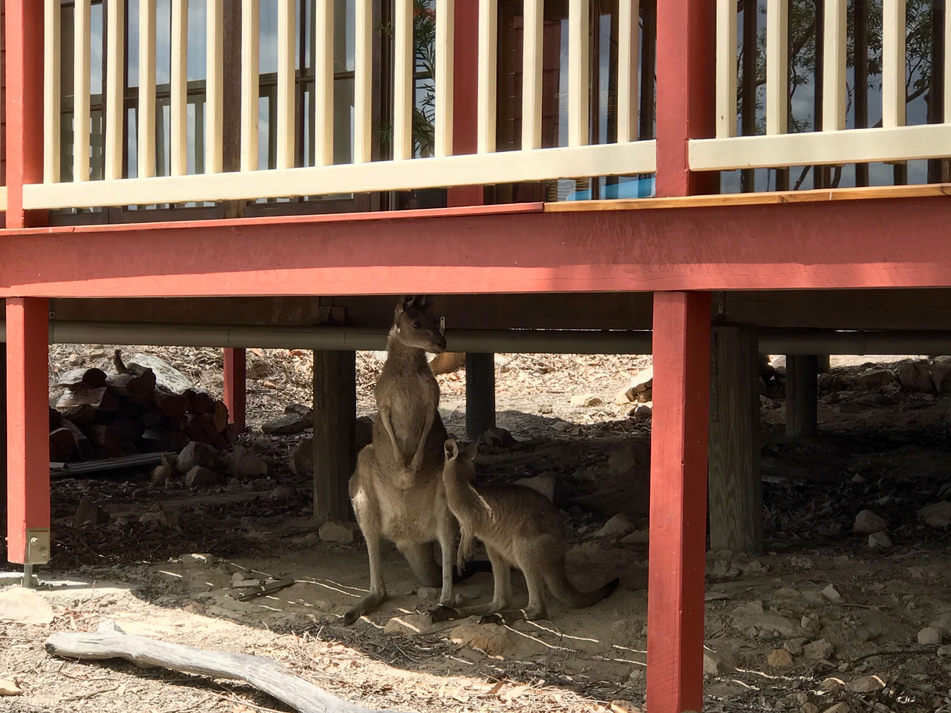 Silkwood Spa Lodge - secluded and private retreat for 1 to 2 couples. — image 2