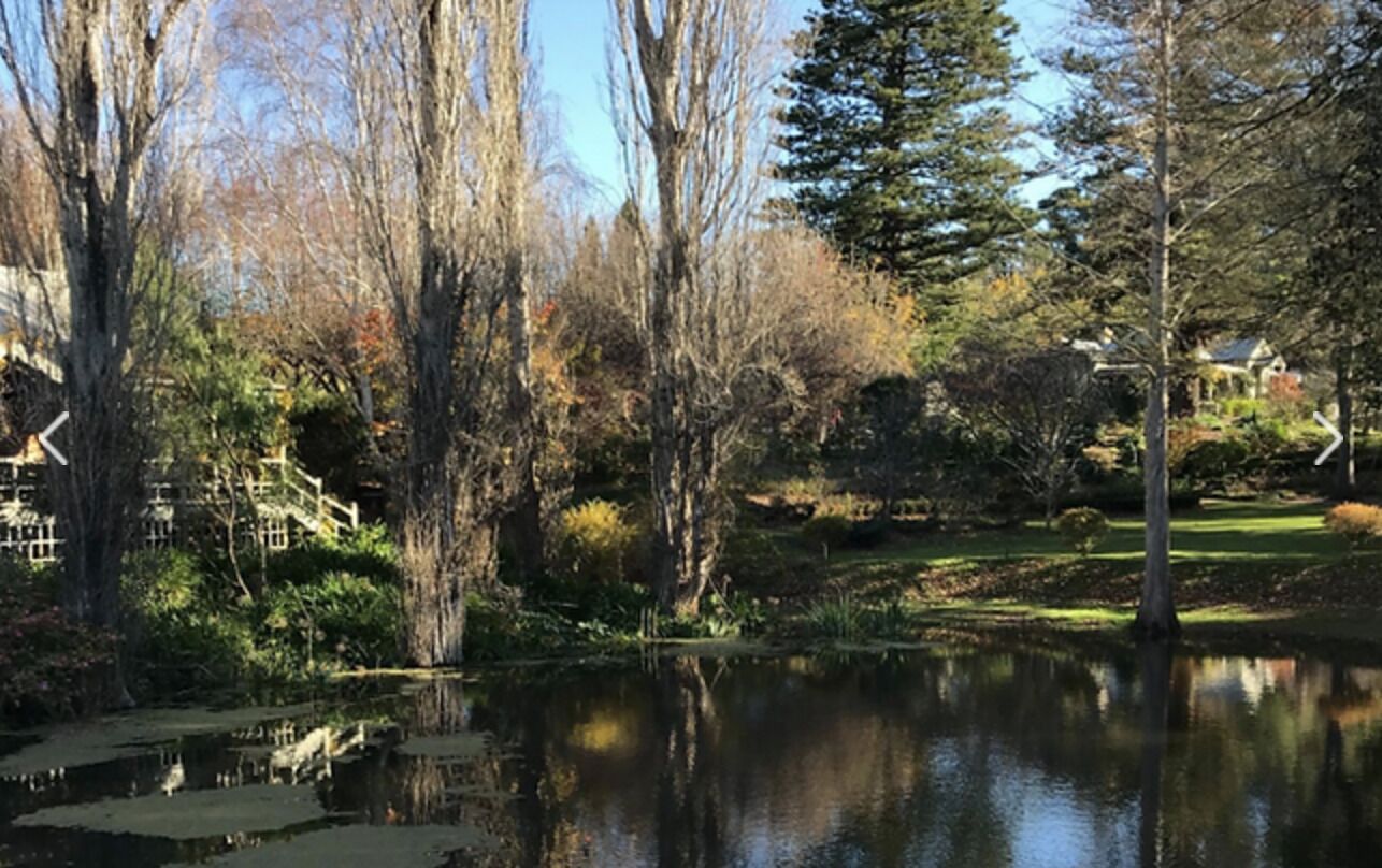 River Cottage  @   Foxglove