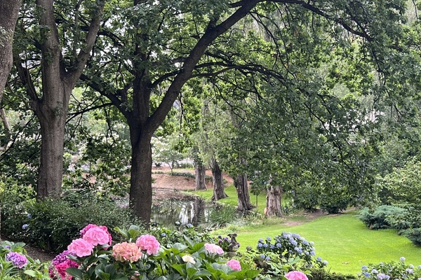 Parco della struttura