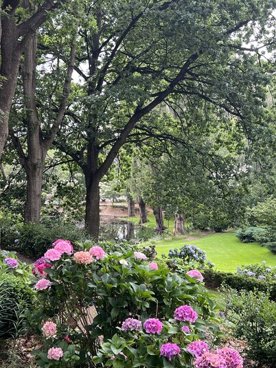 River Cottage Foxglove Gardens