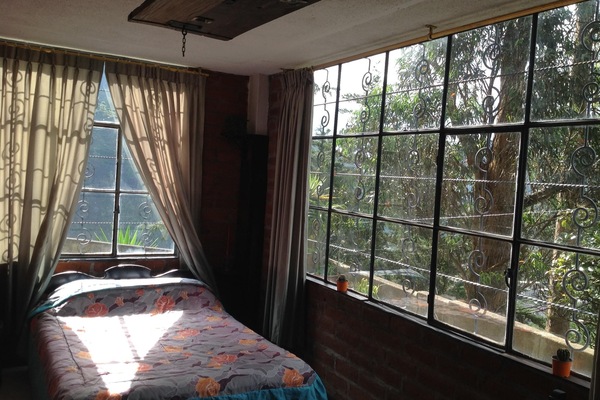 EUCALYTUS ROOM