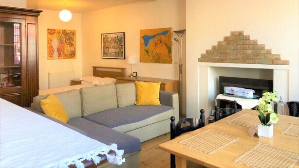 Une pièce confortable avec un lit, un canapé, une table à manger et une cheminée.