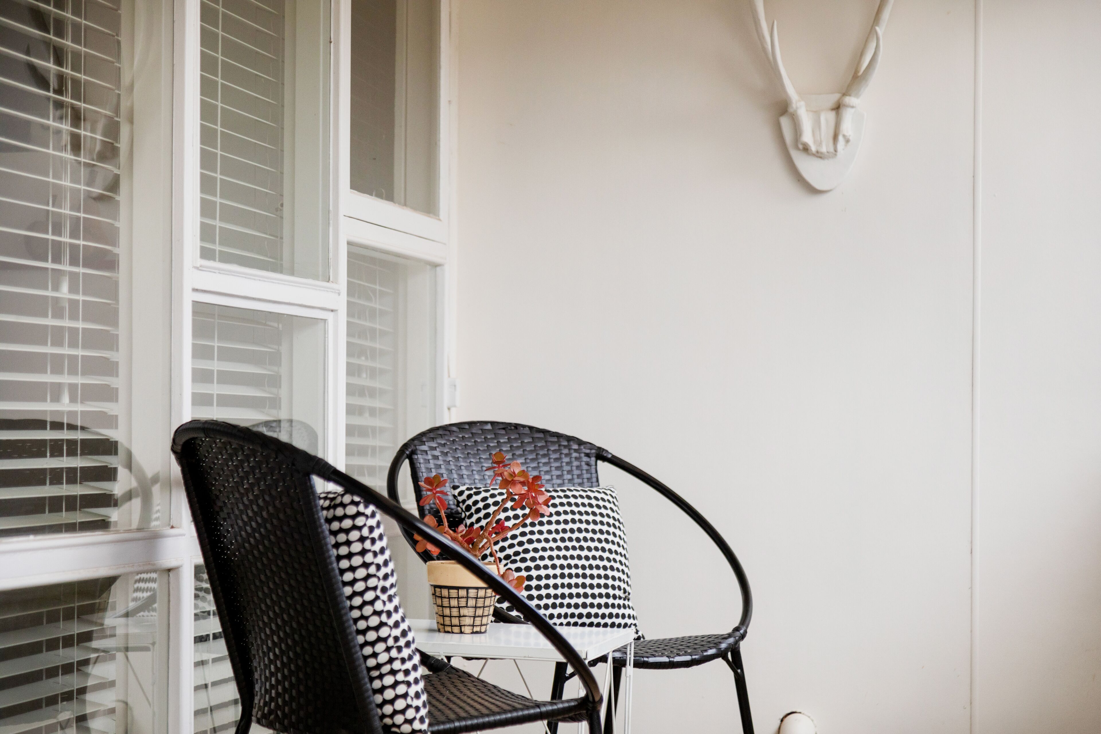 Stylish Studio Apartment — image 13