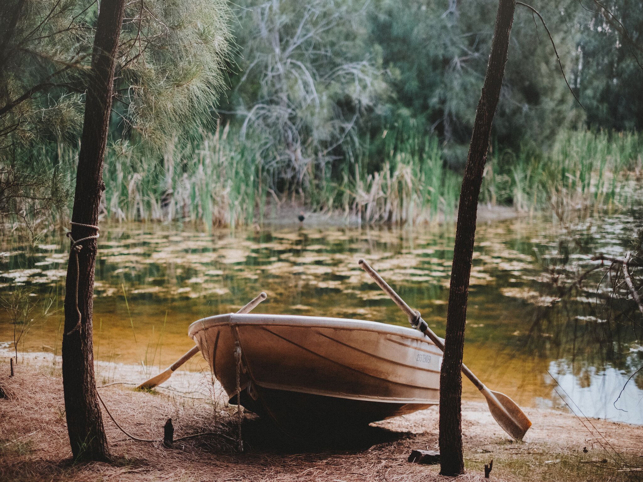 Sweetacres - Billabong Cottage — image 22