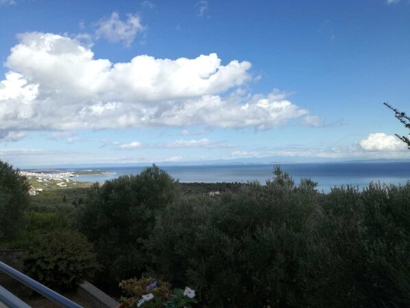 Vista desde la propiedad