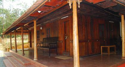 Nature Castle-A traditional kerala style
