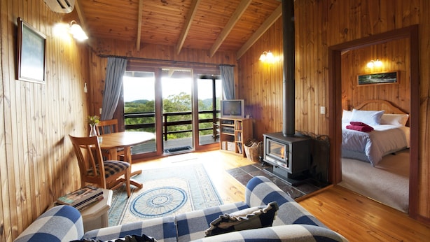 A cozy cabin with a wooden interior, a fireplace, a television, and a bed with a view of the outdoors.