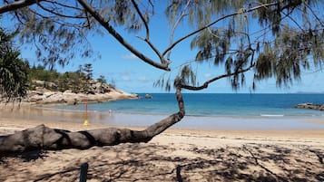 Playa en los alrededores y camastros