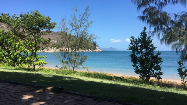 Vista costera con cielo despejado, playa arenosa y abundante vegetación.