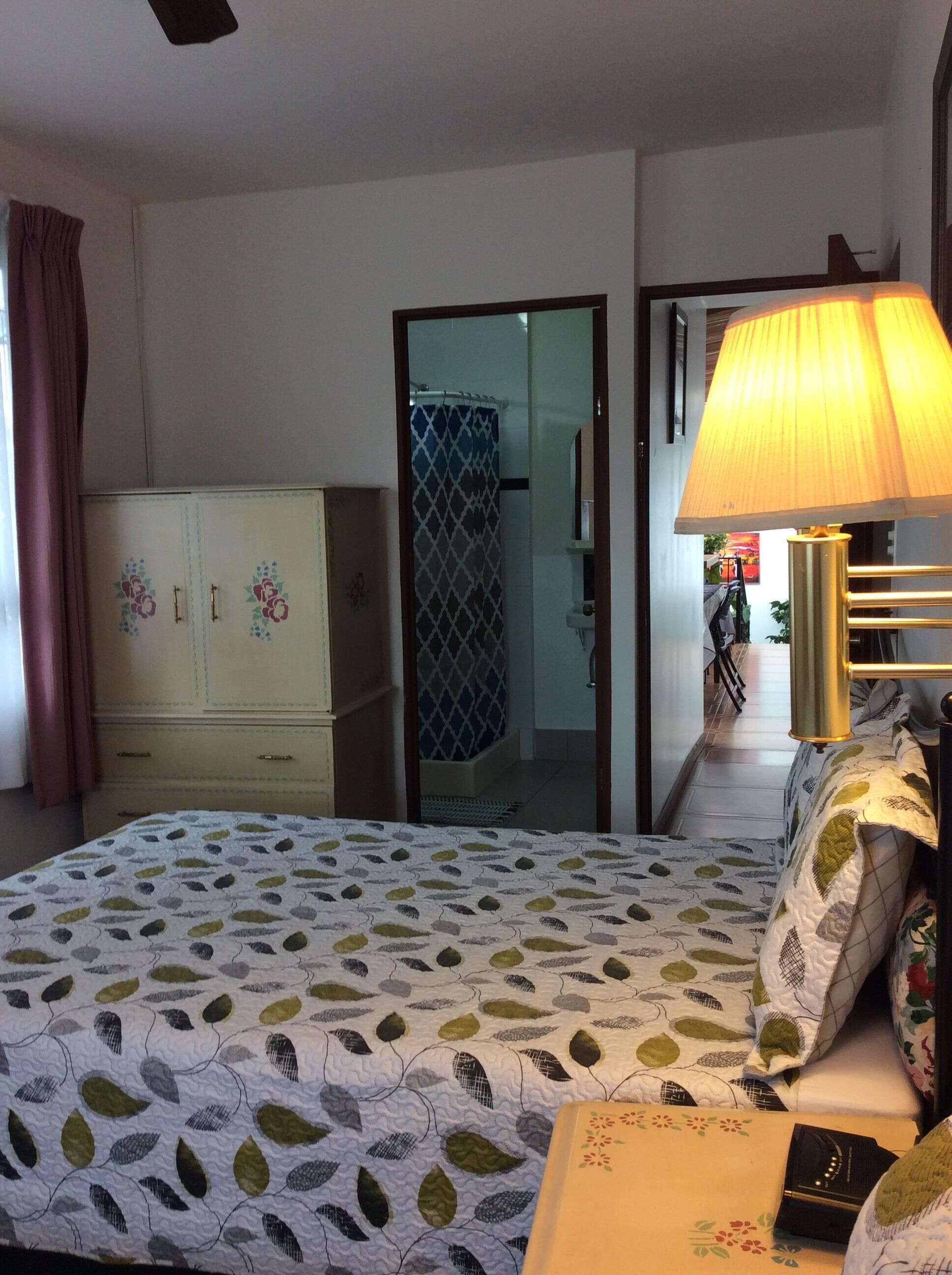 5 chambres, coffres-forts dans les chambres, fer et planche à repasser