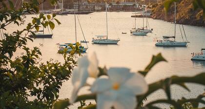 Neptune Studio, Great View, 1-4 guests, Galleon Beach, Part of Moondance Antigua