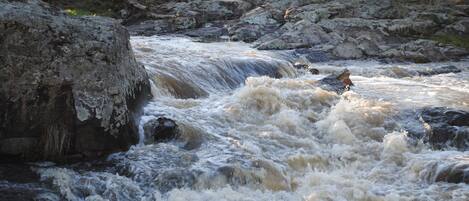 A river with fast-moving water, rocks, and a fallen tree branch.