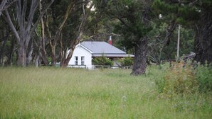 A white house with a grey roof, surrounded by trees and grass.