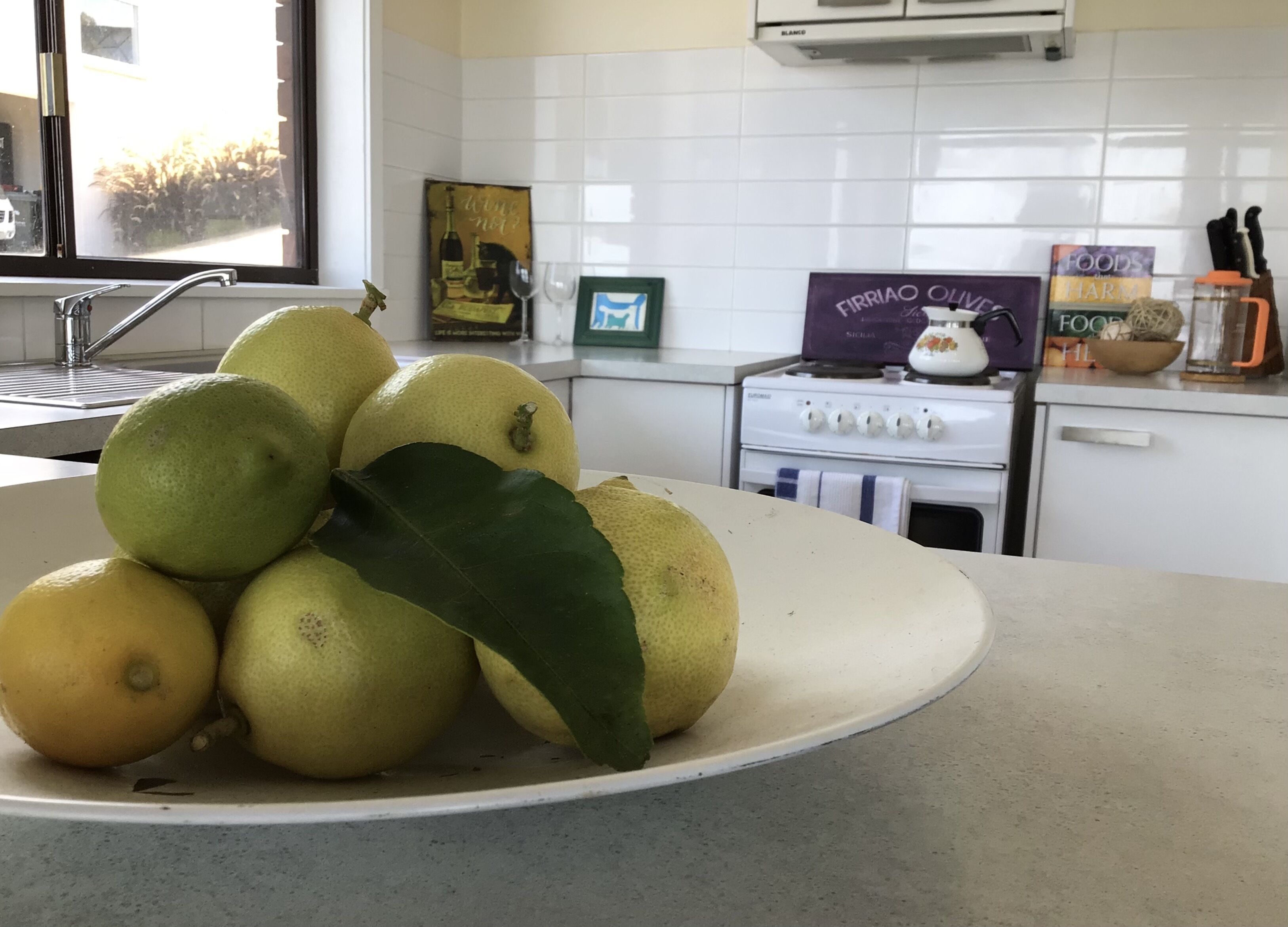 Absolute Beachfront - Location and Views<br>