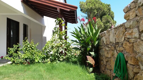 Detalle exterior