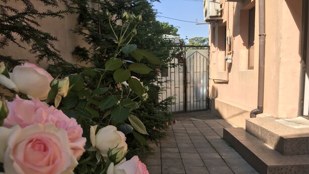 Ein Weg führt zu einem verschlossenen Eingang, umgeben von üppiger Vegetation und blühenden Pflanzen.