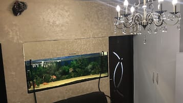 电视