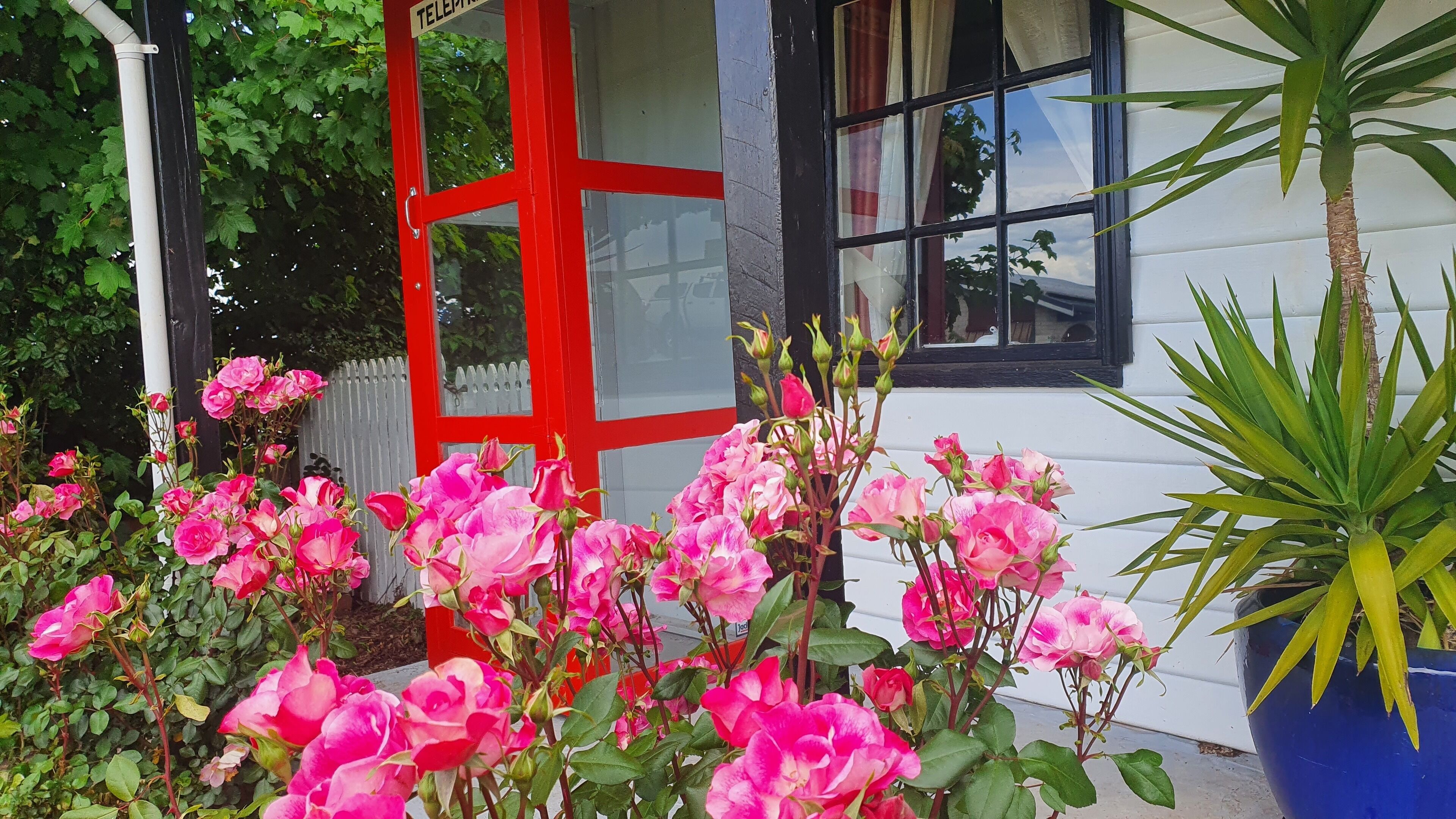 Cosy Original Miners Cottage - Magnificent views of the Great Western Tiers — image 16