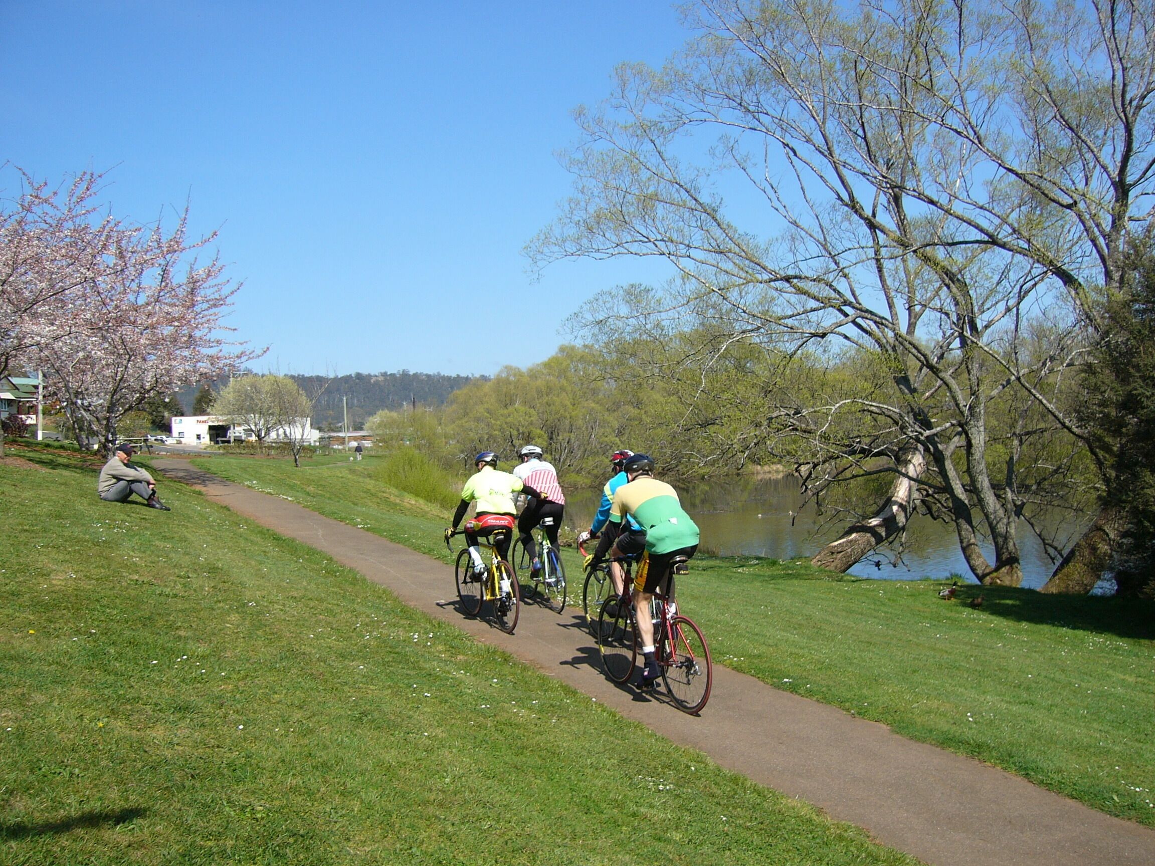 Cosy Original Miners Cottage - Magnificent views of the Great Western Tiers — image 3
